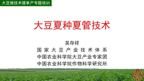 大豆推廣技術(shù)提單產(chǎn)專題培訓(xùn)月 經(jīng)濟(jì)信息咨詢助力農(nóng)業(yè)增效